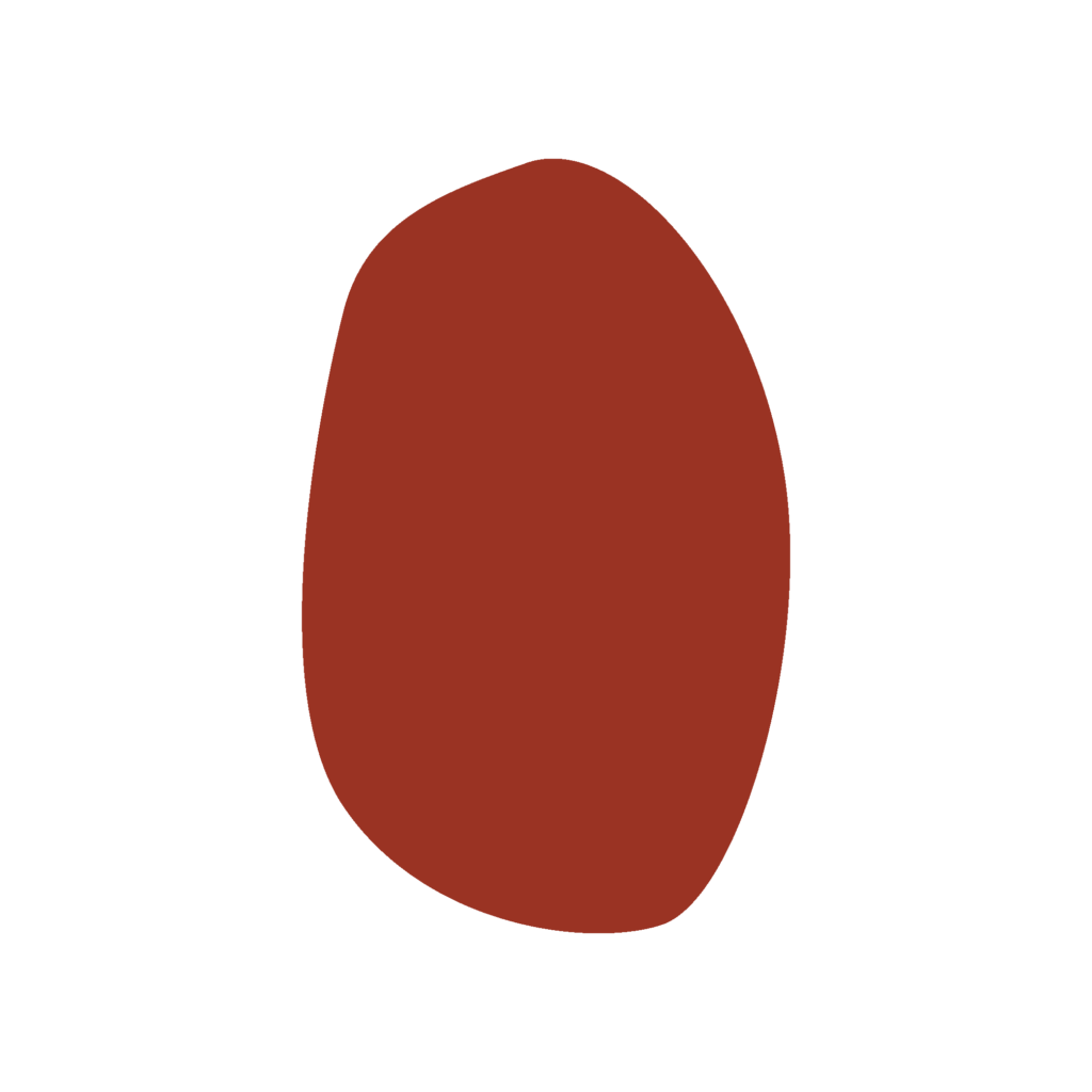 POTA program mladinskega prostovoljstva